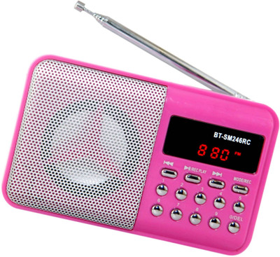 

CRETO Digital BT-SM246 Fm radio support USB Pen-drive , memory card, aux in , recording FM Radio(Pink)