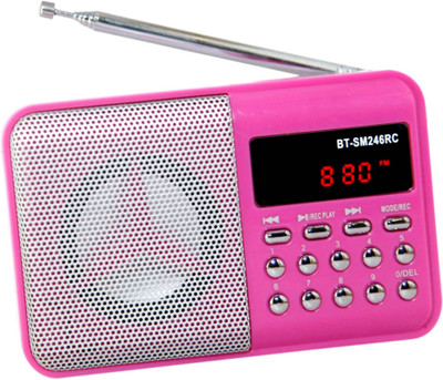 

OYD BT246 Digital FM Radio Audio Player support recording , usb pendrive, aux in FM Radio(Pink)
