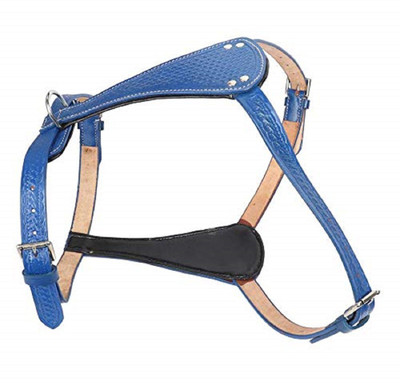 

SRI High Quality Padded Texture Leather Harnesh for  Breed Dog (Blue) Dog Harness & Leash(, Blue