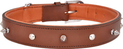 

Pride Infinite Dog Everyday Collar(, Brown