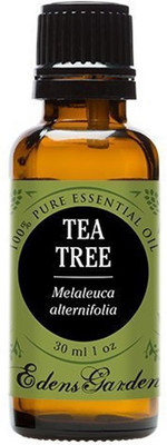 

Edens Garden Tea Tree (Melaleuca) 100% Pure Therapeutic Grade Essential Oil- 30 ml(30 ml)
