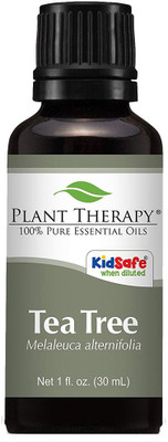 

Plant Therapy Tea Tree (Melaleuca) Essential Oil. 100% Pure, Undiluted, Therapeutic Grade. 30 ml (1 oz)(30 ml)