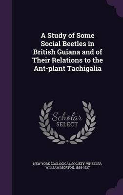 A Study of Some Social Beetles in British Guiana and of Their Relations to the Ant-plant Tachigalia(English, Hardcover, Wheeler William Morton)