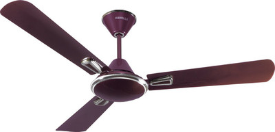 

Havells Festiva 1200mm Decorative 3 Blade Ceiling Fan(Lavender Mist, Pack of 1), Maroon