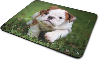 

Rawpockets Cute Dog ' Printed Mouse Pad|Printed Mouse pad|Rubber Mouse Pad|Laptop and Desktop Accessories|Designer Mouse pad|Non Woven Fabric Mousepad(Multicolor)