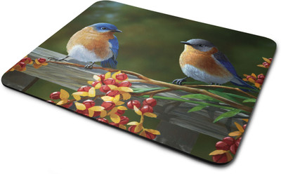

Rawpockets Love Birds ' Printed Mouse Pad|Printed Mouse pad|Rubber Mouse Pad|Laptop and Desktop Accessories|Designer Mouse pad|Non Woven Fabric Mousepad(Multicolor)