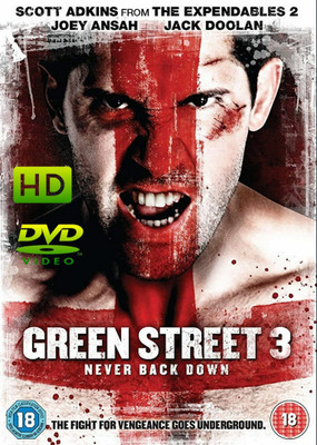 

GREEN STREET - 3 NEVER BACK DOWN(DVD Hindi)