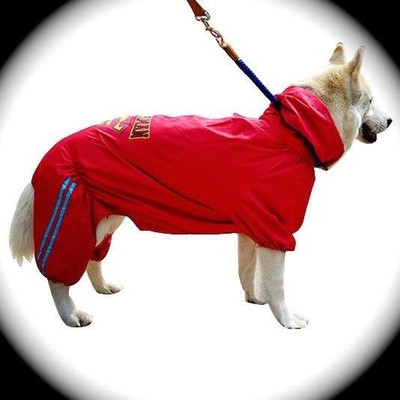 

Puppy love Raincoat for Dog(Red, Yellow