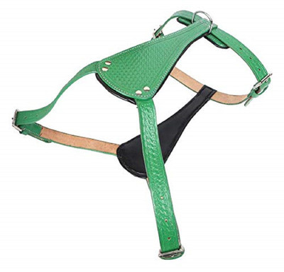 

SRI Dog Everyday Collar(, Green