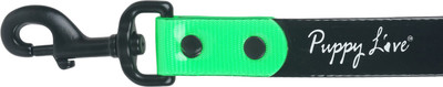 

Puppy love Dog Collar & Leash(, Green