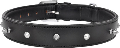 

Pride Infinite Dog Everyday Collar(, Black