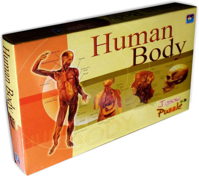 

ART BUNDLE Human Body Puzzle Picture Learning Board for Children Educational Toy | Human Body Educational Jigsaw Puzzle | Our Body Activity Puzzle- |3 Layers Puzzle Games for Kids(1 Pieces)