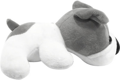sahil fashion Teddy Dog Bear - 14 cm(Grey)
