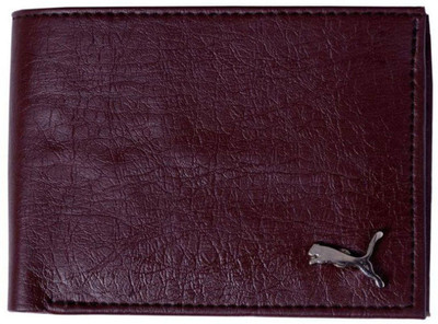

Winsome Deal Men Formal Purple Artificial Leather Wallet(4 Card Slots), Brown