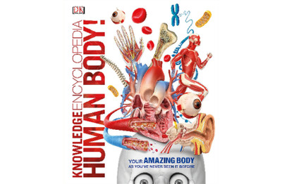Knowledge Encyclopedia Human Body!(English, Hardcover, Dorling Kindersley ( D K ))