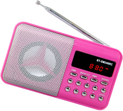 

OYD Digital BT246 Radio FM support recording , usb pendrive, aux in FM Radio(Pink)