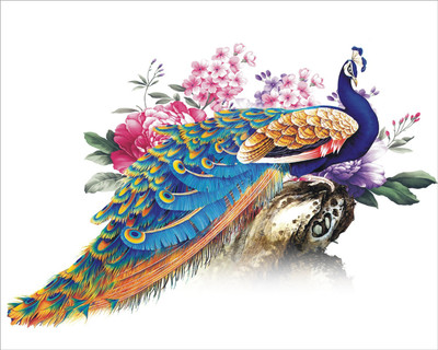 

Jump up  Peacock, Wall sticker Sticker(Pack of 1, White