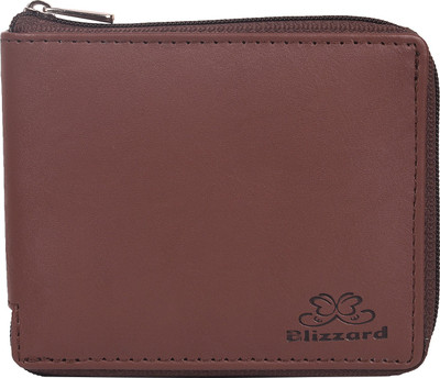 

blizzard Men Brown Artificial Leather Card Holder(6 Card Slots)