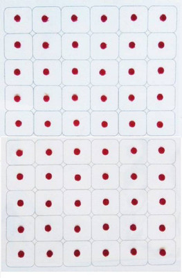 

khusboo Matching Plaza Forhead Red Bindis(Indian)