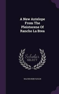 A New Antelope From The Pleistocene Of Rancho La Brea(English, Hardcover, Taylor Walter Penn)