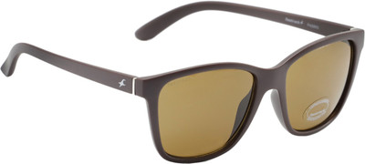 Fastrack Wayfarer Sunglasses(Brown)