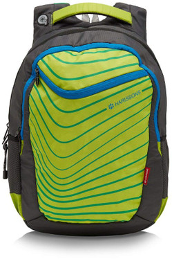 

Harissons Bastille 34 L Laptop Backpack(Green, Grey)