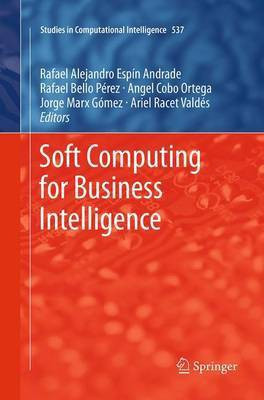 Soft Computing for Business Intelligence(English, Paperback, unknown)