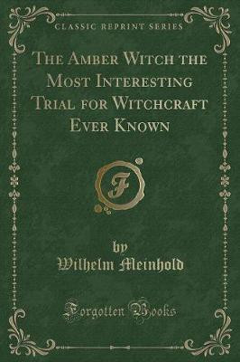 The Amber Witch the Most Interesting Trial for Witchcraft Ever Known (Classic Reprint)(English, Paperback, Meinhold Wilhelm)