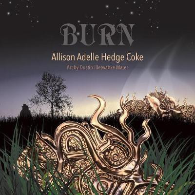 Burn(English, Paperback, Hedge Coke Allison Adelle)
