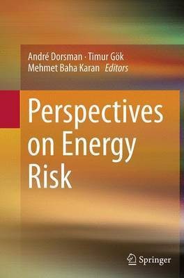 Perspectives on Energy Risk(English, Paperback, unknown)