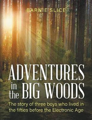 Adventures in the Big Woods(English, Paperback, Slice Barnie)