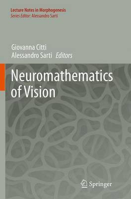 Neuromathematics of Vision(English, Paperback, unknown)