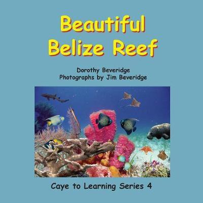 Beautiful Belize Reef(English, Paperback, Beveridge Dorothy)