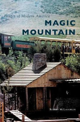 Magic Mountain(English, Hardcover, McLaughlin Robert)