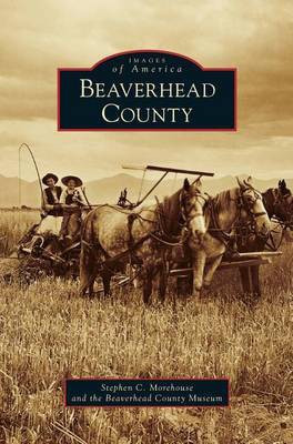 Beaverhead County(English, Hardcover, Morehouse Stephen)