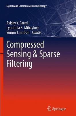 Compressed Sensing & Sparse Filtering(English, Paperback, unknown)