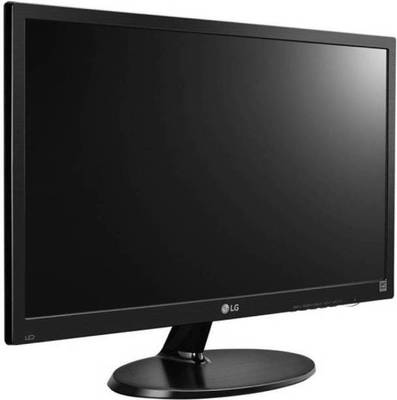 LG 18 inch HD Monitor (19M38AB-BB) 