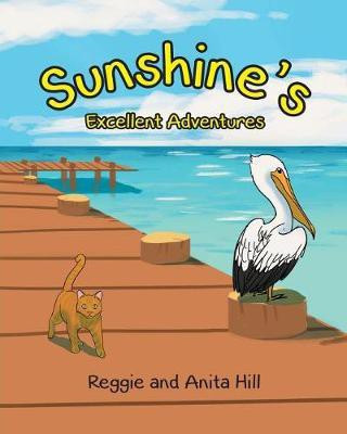 Sunshine's Excellent Adventures(English, Paperback, Hill Reggie, Anita)