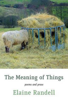 The Meaning of Things(English, Paperback, Randell Elaine)