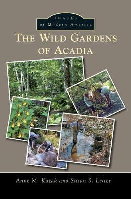 The Wild Gardens of Acadia(English, Hardcover, Kozak Anne M)