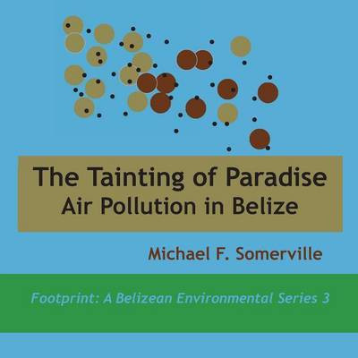 Tainting of Paradise(English, Paperback, Somerville Michael F)