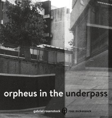 Orpheus in the Underpass(English, Hardcover, Rosenstock Gabriel)