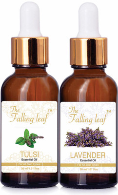 

the falling leaf Pack of Tulsi+Lavender Essential Oil (30ml each)(30 ml)