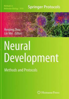 Neural Development(English, Paperback, unknown)