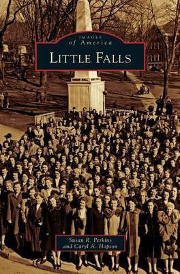 Little Falls(English, Hardcover, Perkins Susan R)