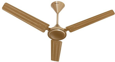 

Eurolex TM & © Owned 3 Blade Ceiling Fan(Gold, Pack of 1)