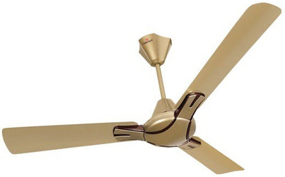 

Eurolex TM 3 Blade Ceiling Fan(Birken Gold, Pack of 1)