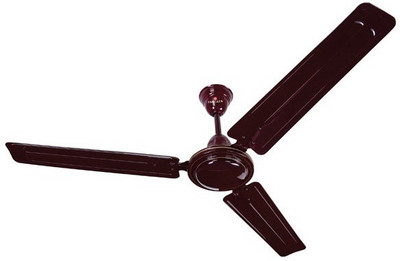 

Eurolex TM 3 Blade Ceiling Fan(Brown, Pack of 1)