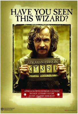 WB Official Licensed Harry Potter Sirrus Black Have You Seen The Wizard Poster A4 Paper Print(11.7 inch X 8.3 inch, Rolled)