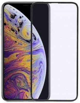 DSCASE Tempered Glass Guard for Apple iPhone XS Max(Pack of 1)